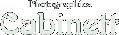 cabinett_logo